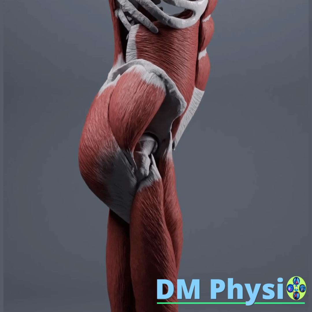 Персонализирана програма с видео уроци