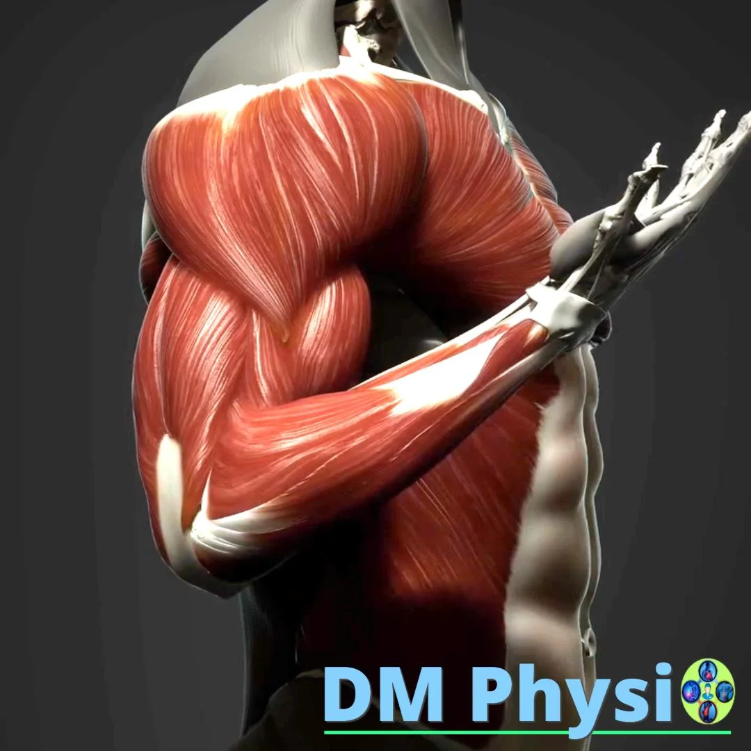 Мускулни болки в ръката