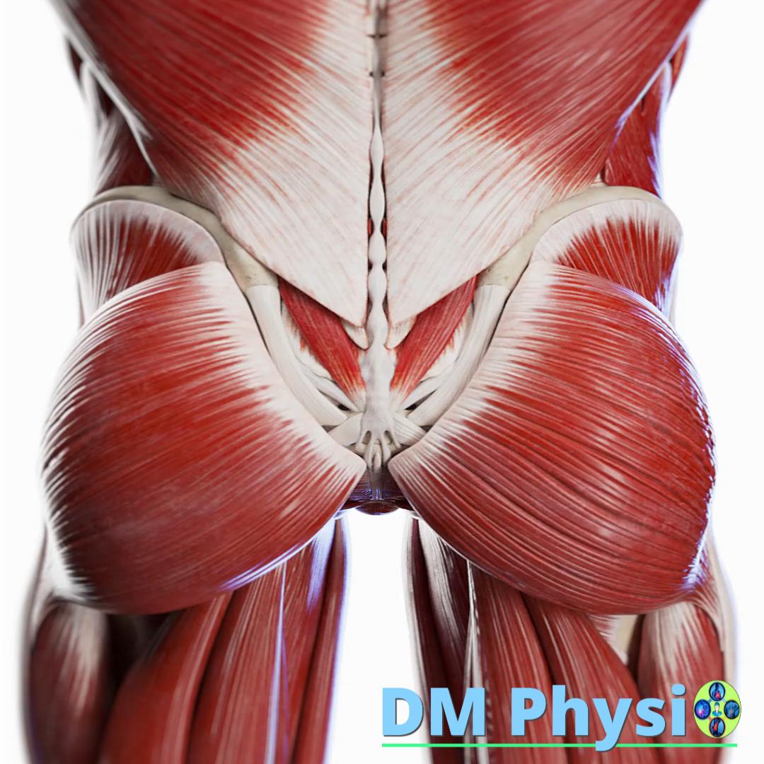 Мускулни болки в тазовата и седалищна област