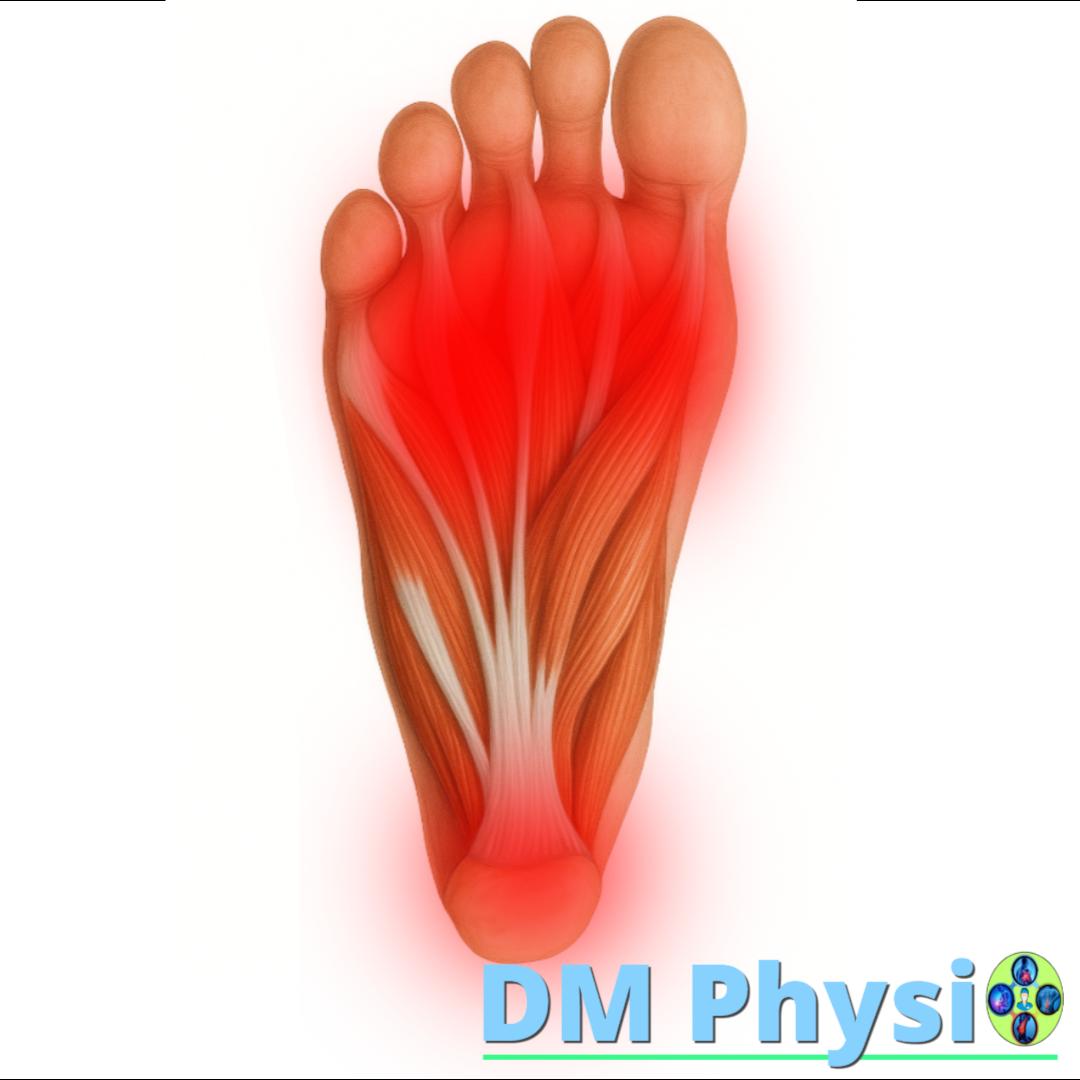Мускули отдолу на ходилото