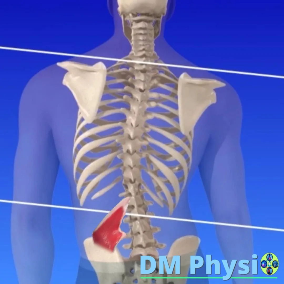 Мускулен дисбаланс в гърба