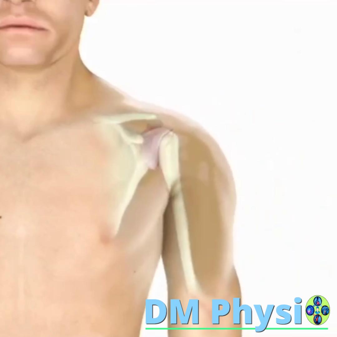 Възстановяване на подвижността