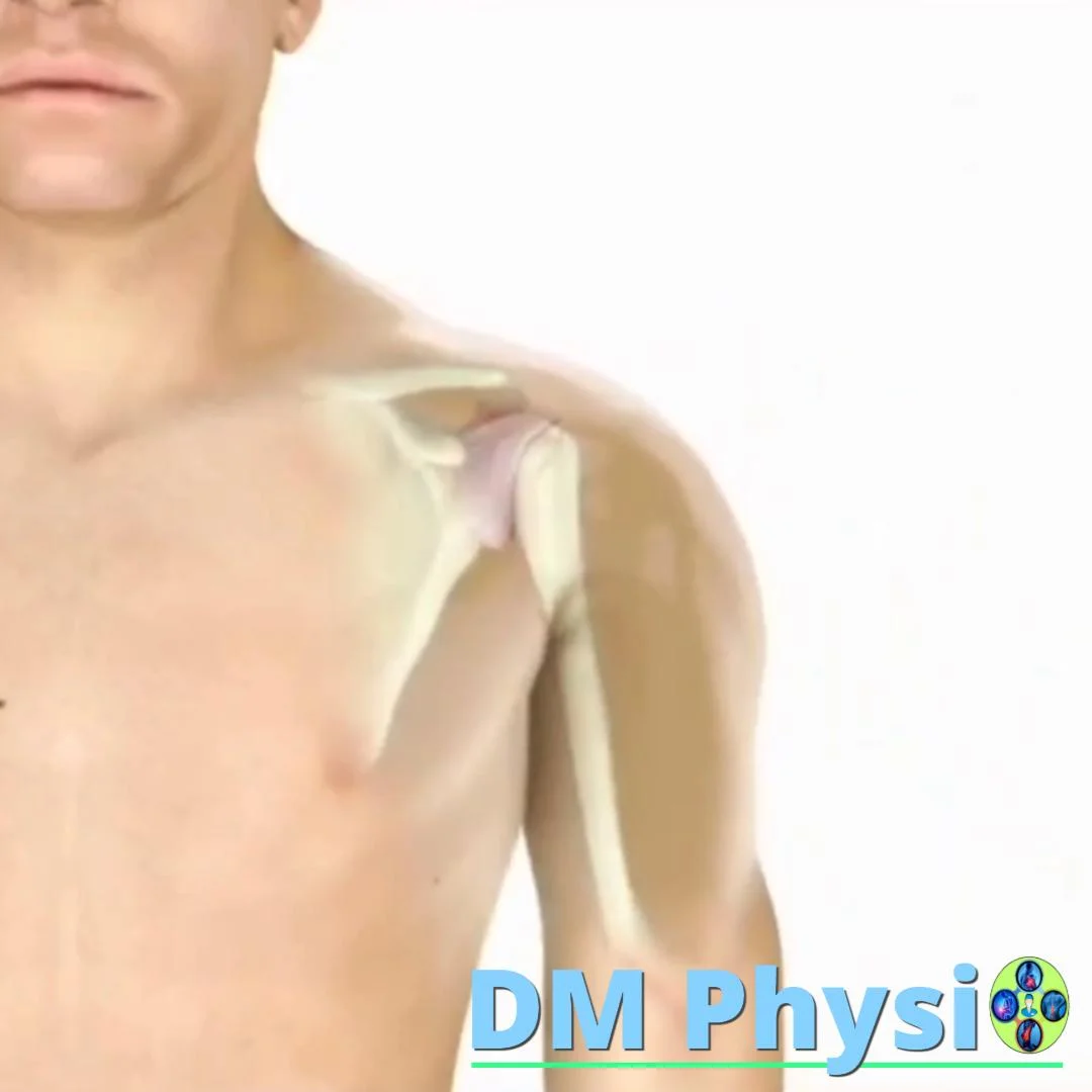 Възстановяване на подвижността