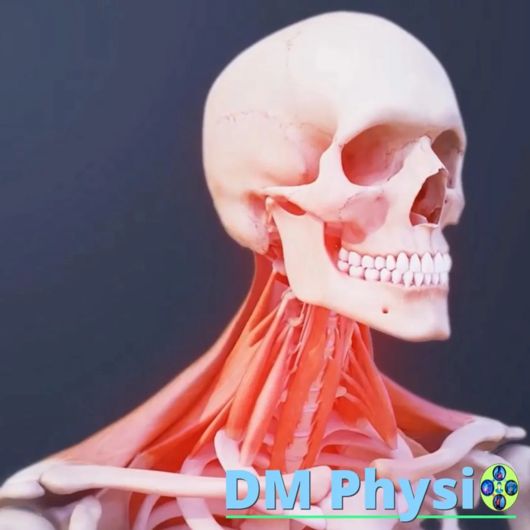 Мускулни болки във врата