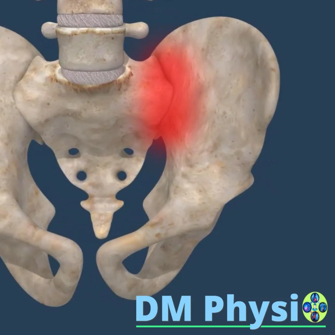 Анатомия на сакроилиачната става
