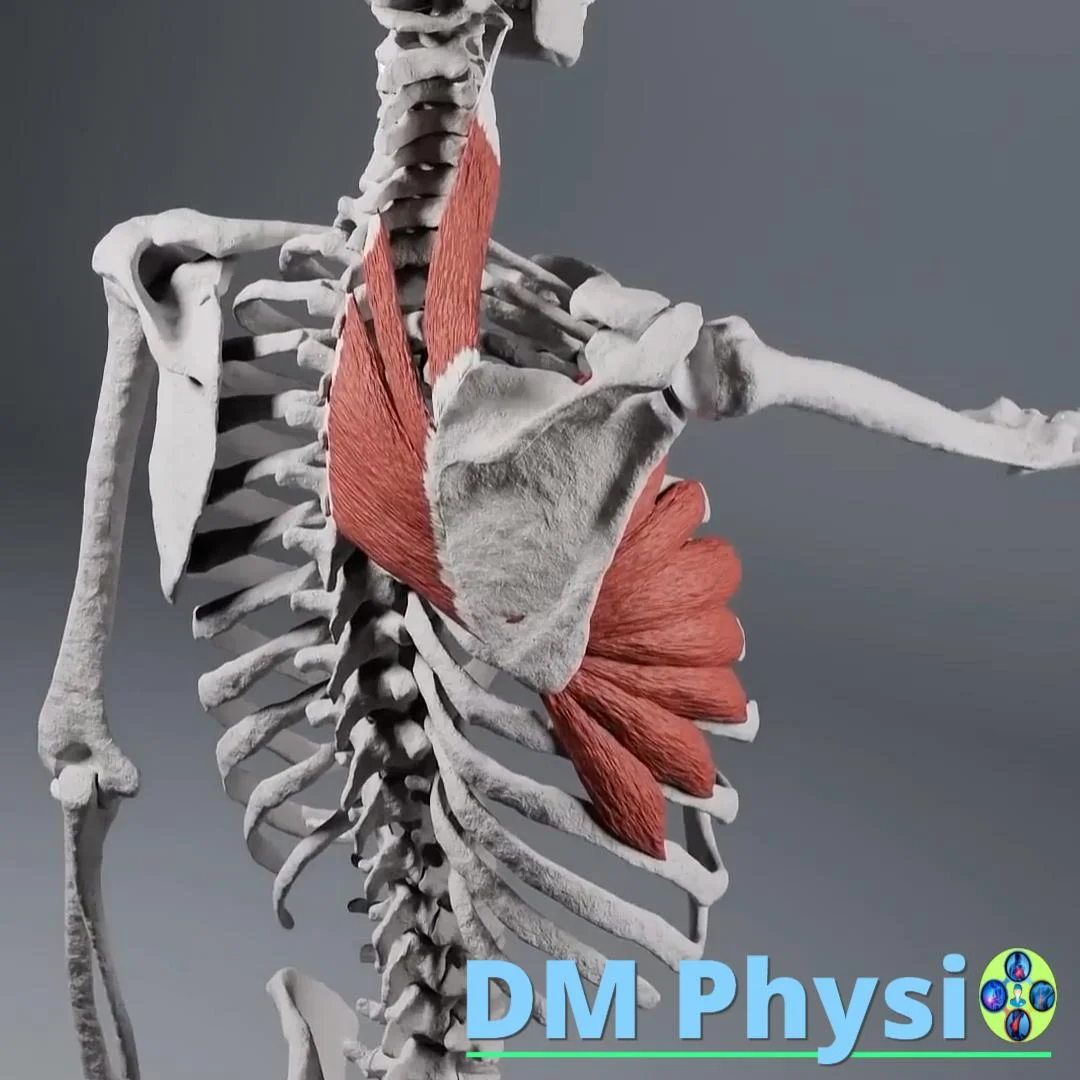 Мускулни болки в рамото