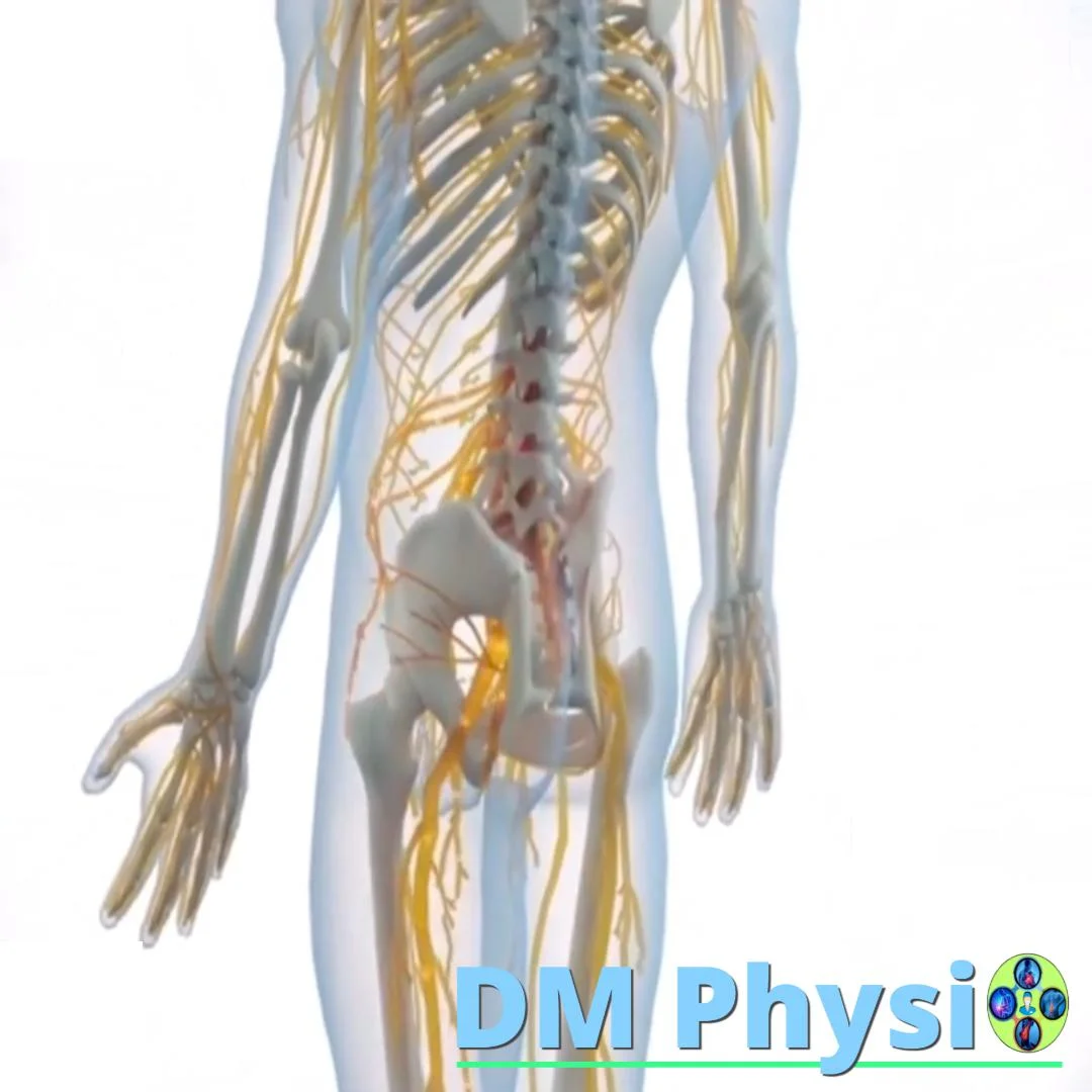 Невралгии на кръста – ишиас